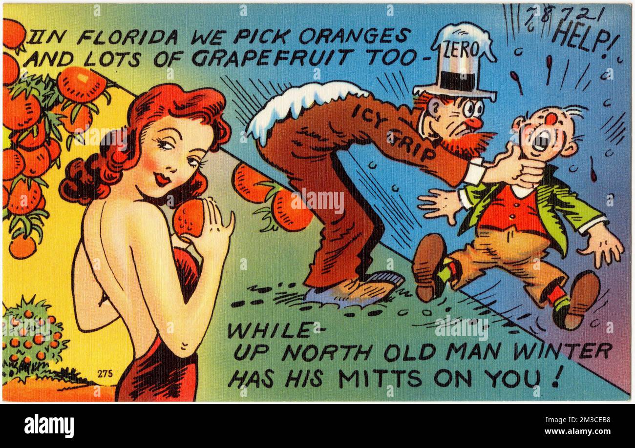 En Floride, nous cueisons aussi des oranges et beaucoup de pamplemousse, alors que vers le nord, l'hiver de l'homme vieux a ses mitaines sur vous! , Tichnor Brothers Collection, cartes postales des États-Unis Banque D'Images
