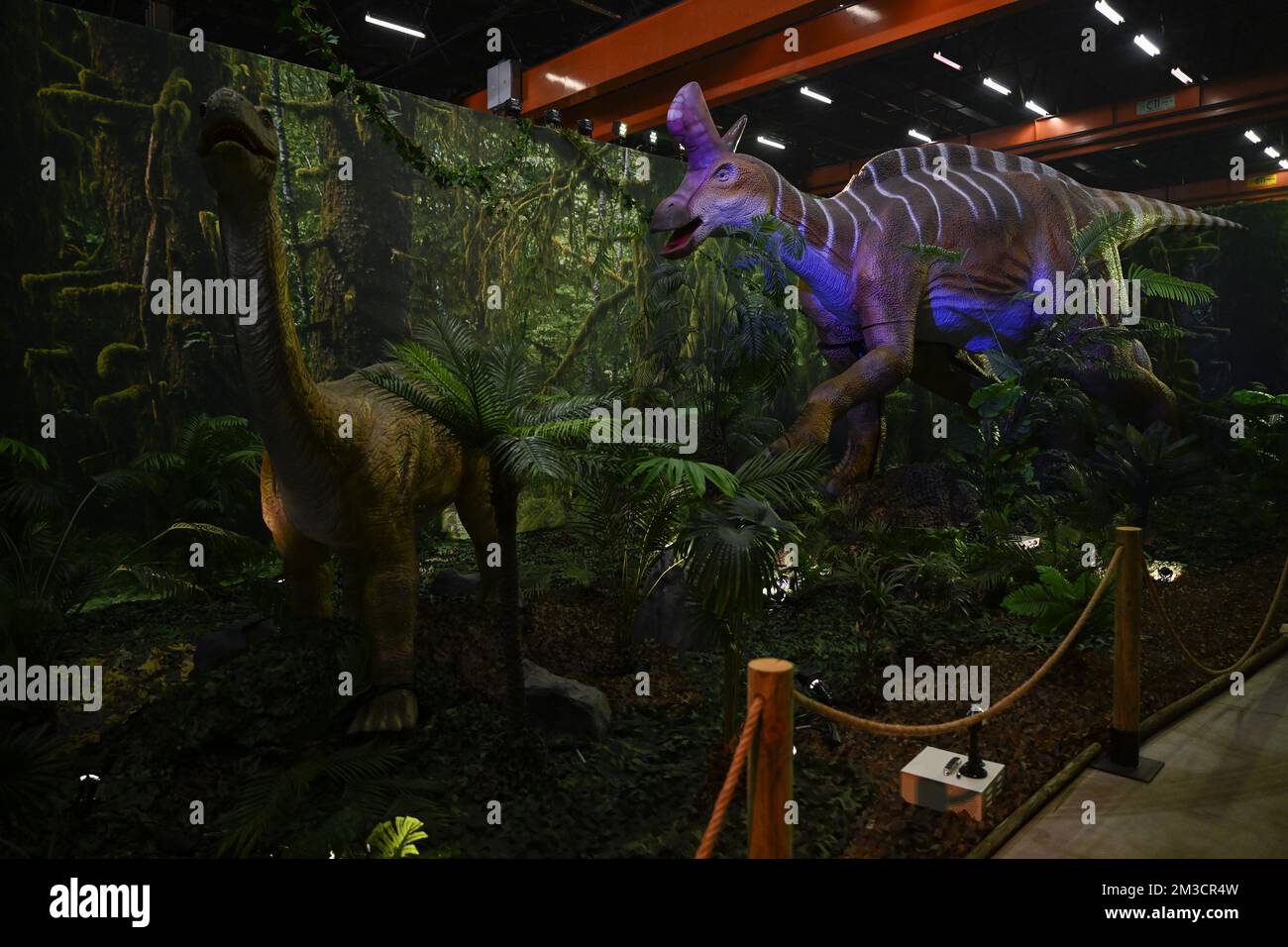 L'illustration montre la construction de l'exposition « Expo Dino » sur les dinosaures sur l'ancien site Caterpillar de Charleroi le mercredi 28 septembre 2022. BELGA PHOTO LAURIE DIEFFEMBACQ Banque D'Images