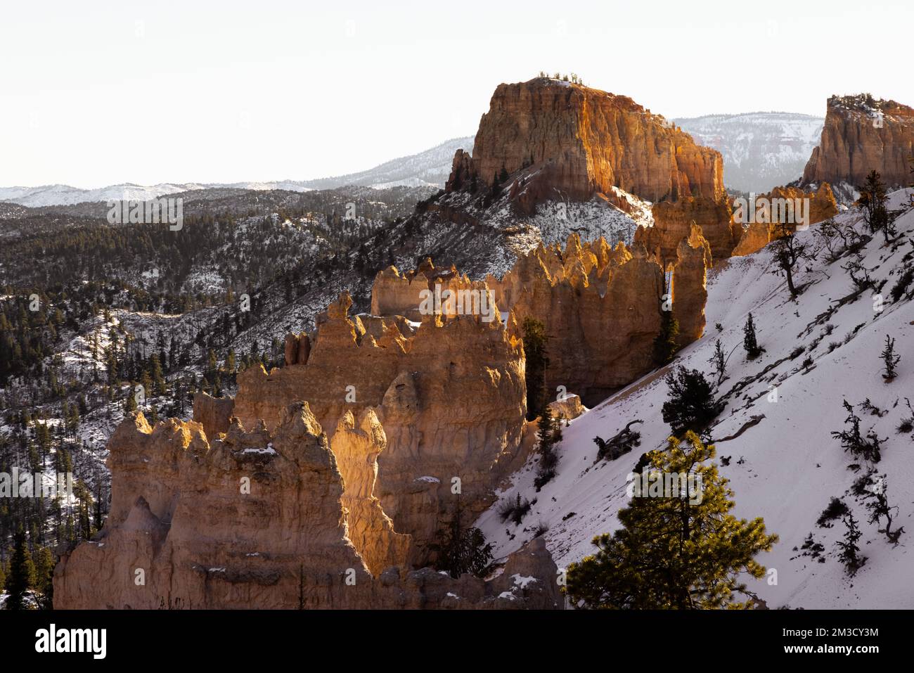 Photo monochrome aux beaux-arts du parc national de bryce Canyon pendant la journée en hiver avec de la neige au sol Banque D'Images