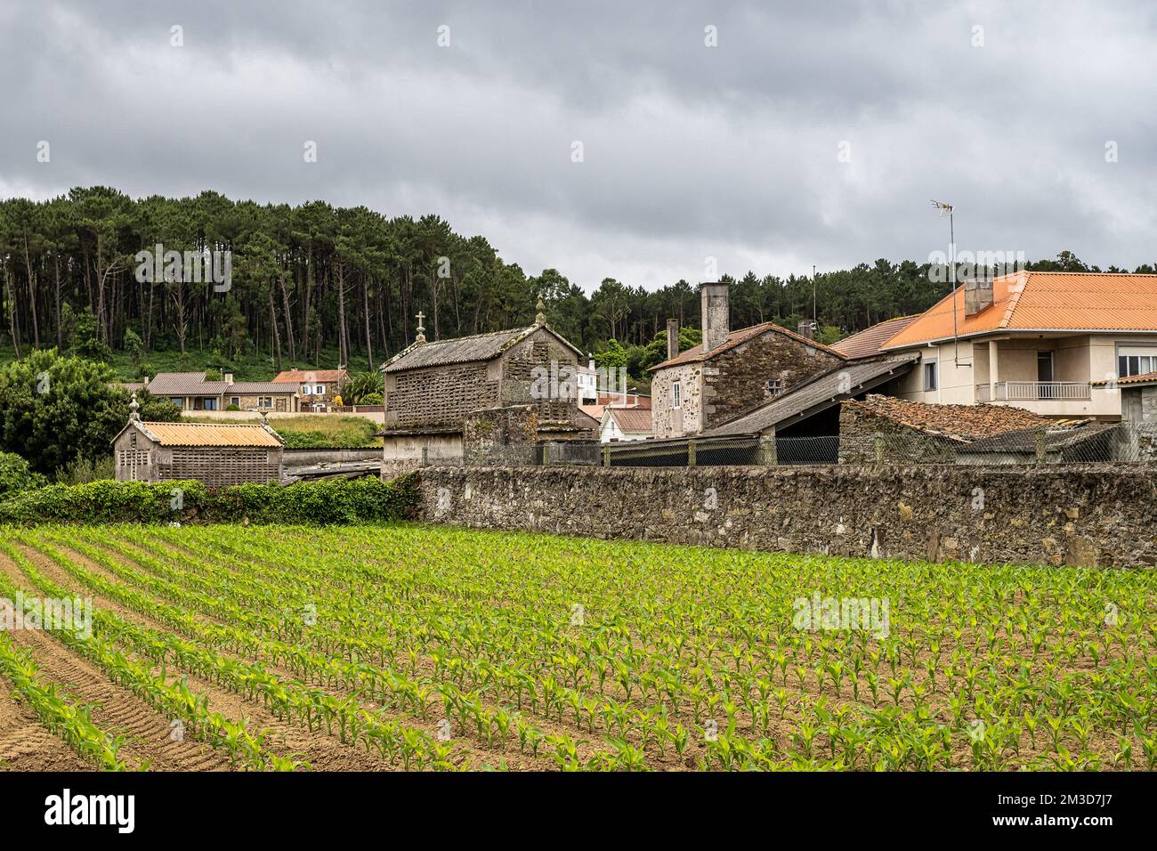 Magnifique village de Vigo en Galice, Espagne, unique pour ses horreos, graniers traditionnels Banque D'Images