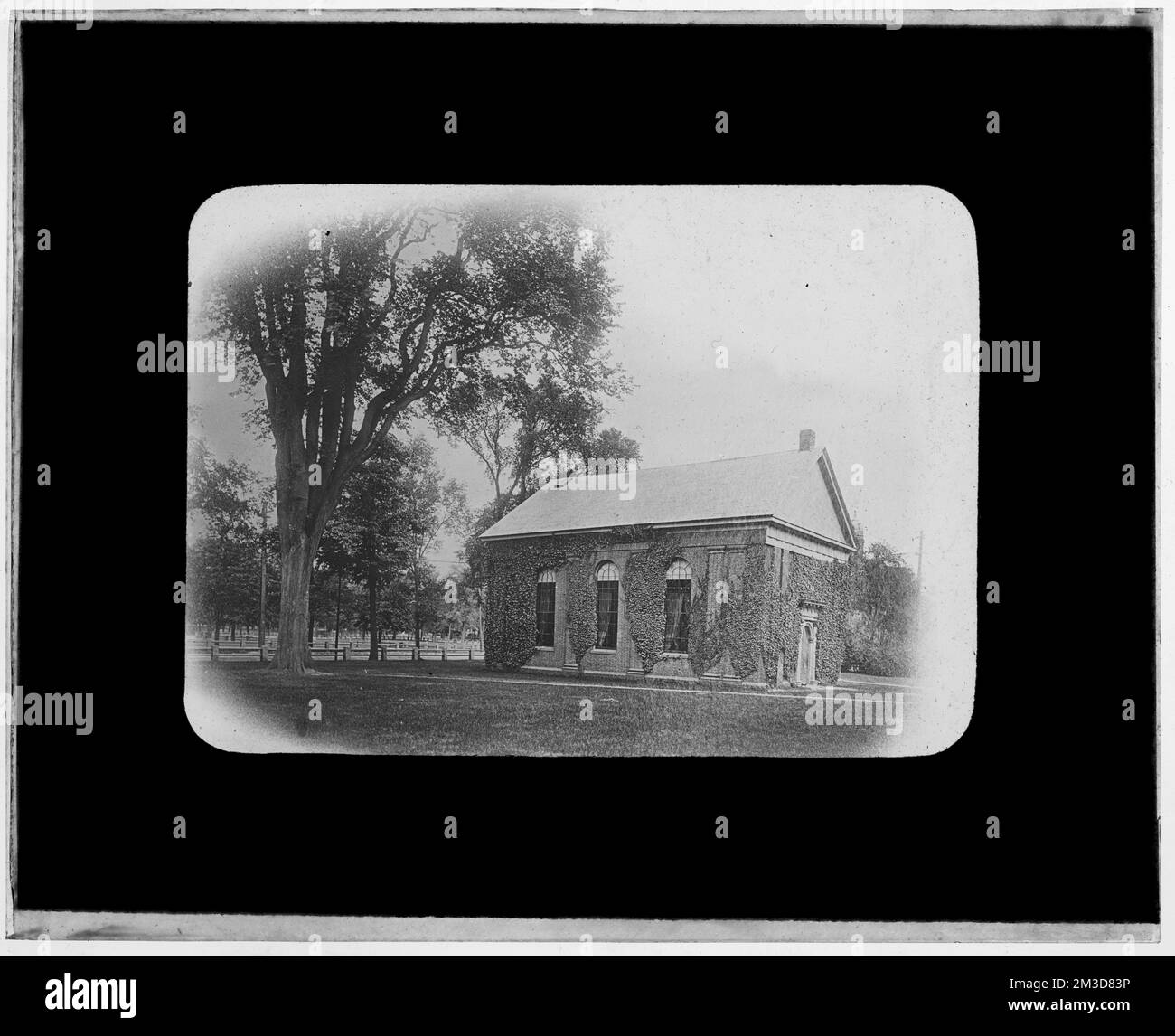 Bâtiment en brique couvert d'Ivy , bâtiments. Collection Nicholas Catsimpolas Banque D'Images