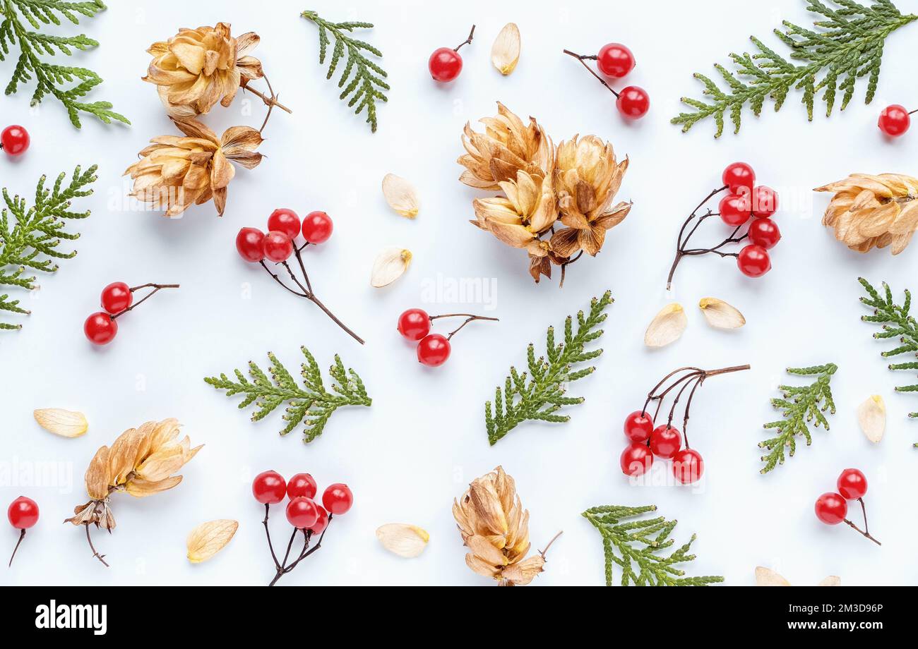 Motif floral de fruits rouges de viburnum, houblon, feuilles de thuja vert sur fond blanc, étai d'automne Banque D'Images