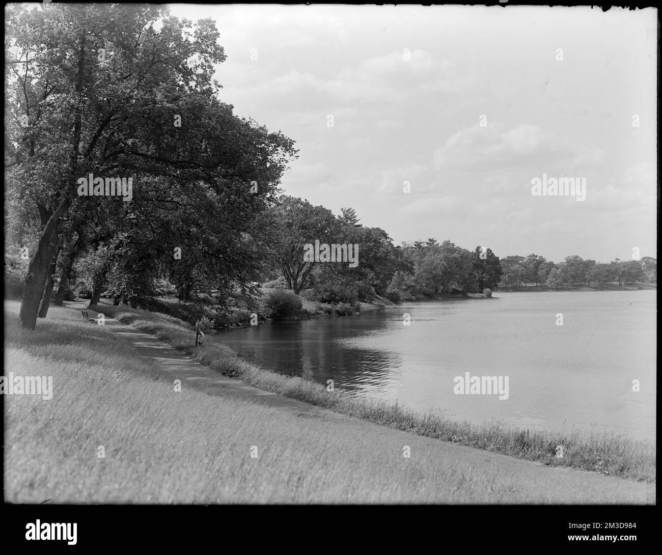 Jamaica Pond, Perkins Street, Parkman Drive Side, Lakes & étangs, sentiers et chemins. Collection Leon Abdalian Banque D'Images