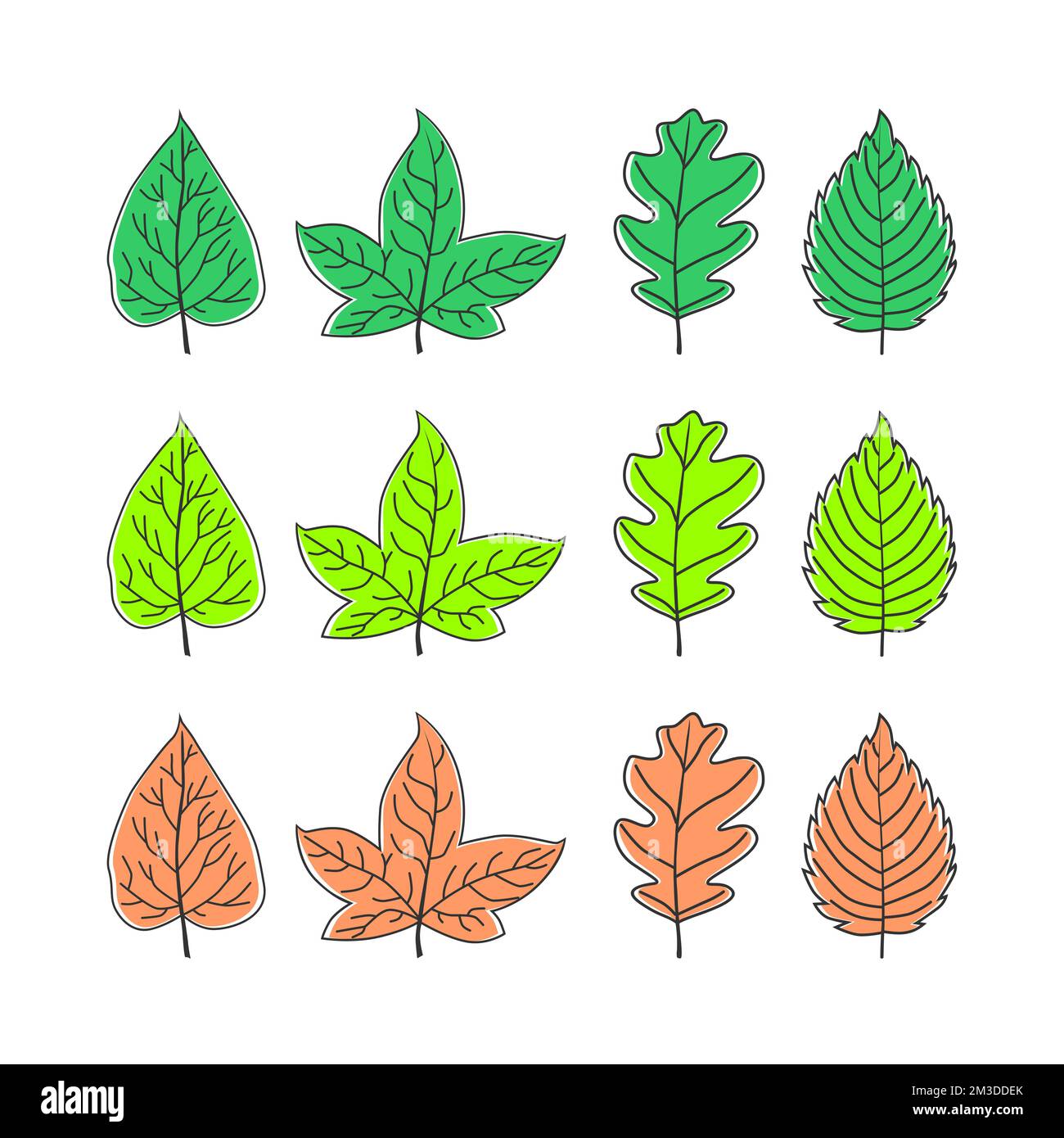 types de feuilles image graphique icône logo design abstrait concept vecteur stock. Peut être utilisé comme symbole lié à la nature ou à la plante Illustration de Vecteur