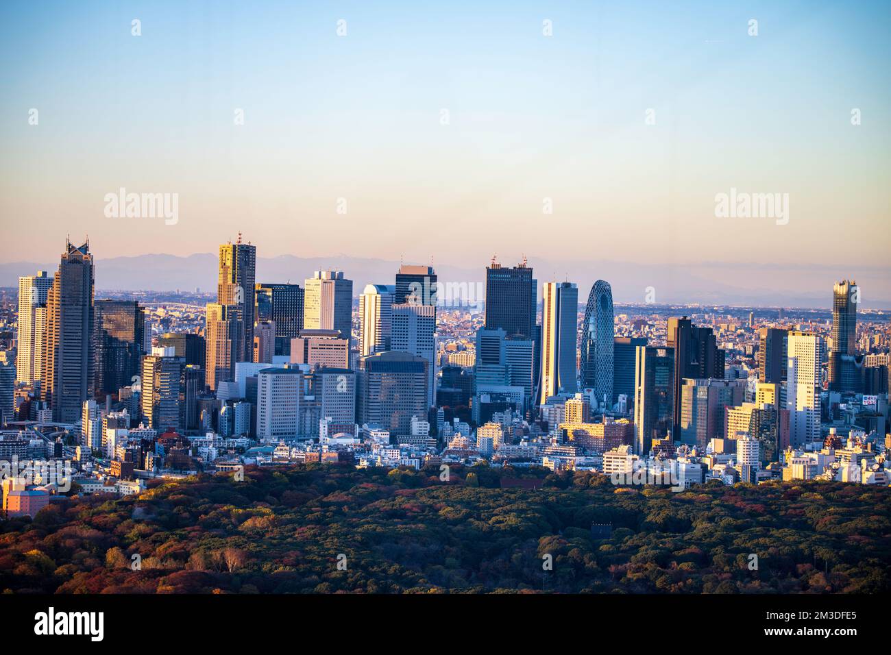 Shinjuku vu de la Sky Stage à Shibuya Sky Banque D'Images