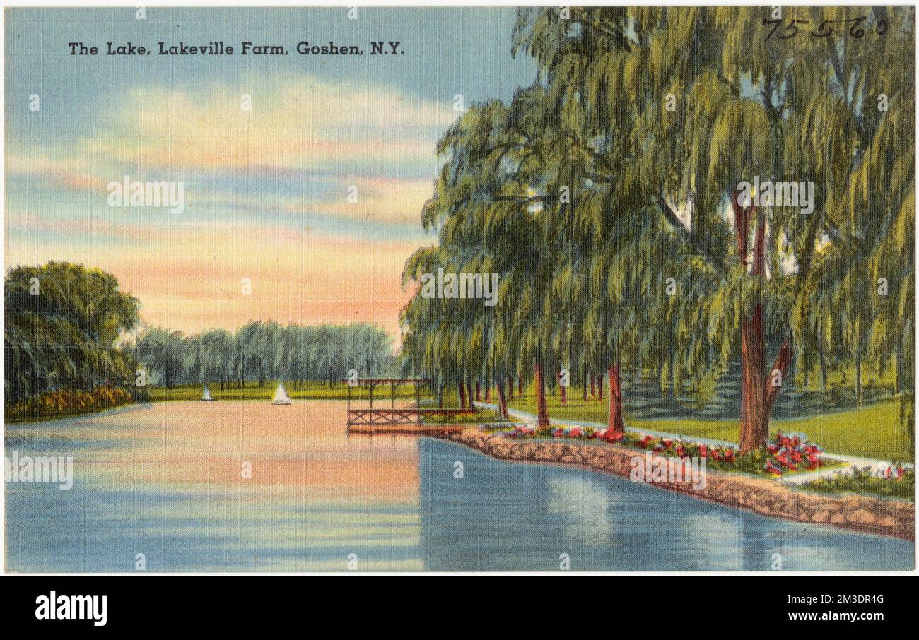 Le lac, Lakeville Farm, Goshen, N. Y., lacs et étangs, Tichnor Brothers Collection, cartes postales des États-Unis Banque D'Images