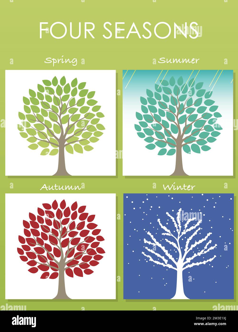 Ensemble de quatre illustrations d'arbres en quatre saisons : printemps, été, automne et hiver. Cartes vectorielles carrées sur fond vert frais. Illustration de Vecteur