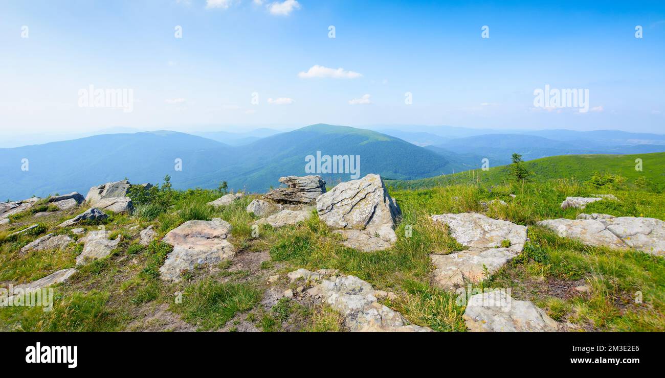 prés alpins carpaliens dans la lumière du soir. magnifique paysage de montagne avec des pierres au milieu de l'herbe, des arbres sur les collines et des vallées profondes. magnifique vi Banque D'Images