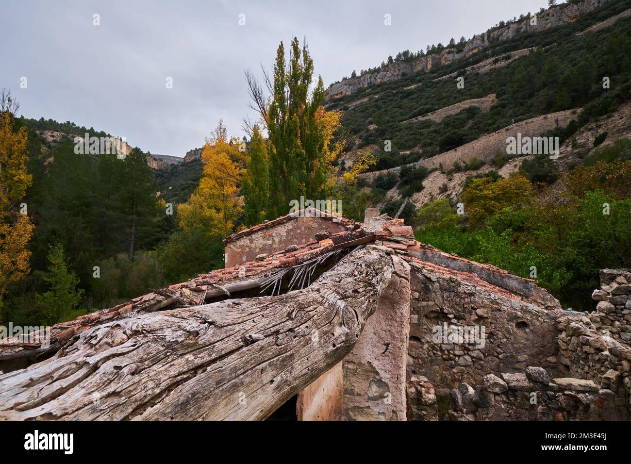 ruines d'un village abandonné dans la forêt d'automne Banque D'Images