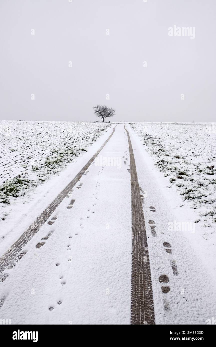 route enneigée avec traces de pneus Banque D'Images