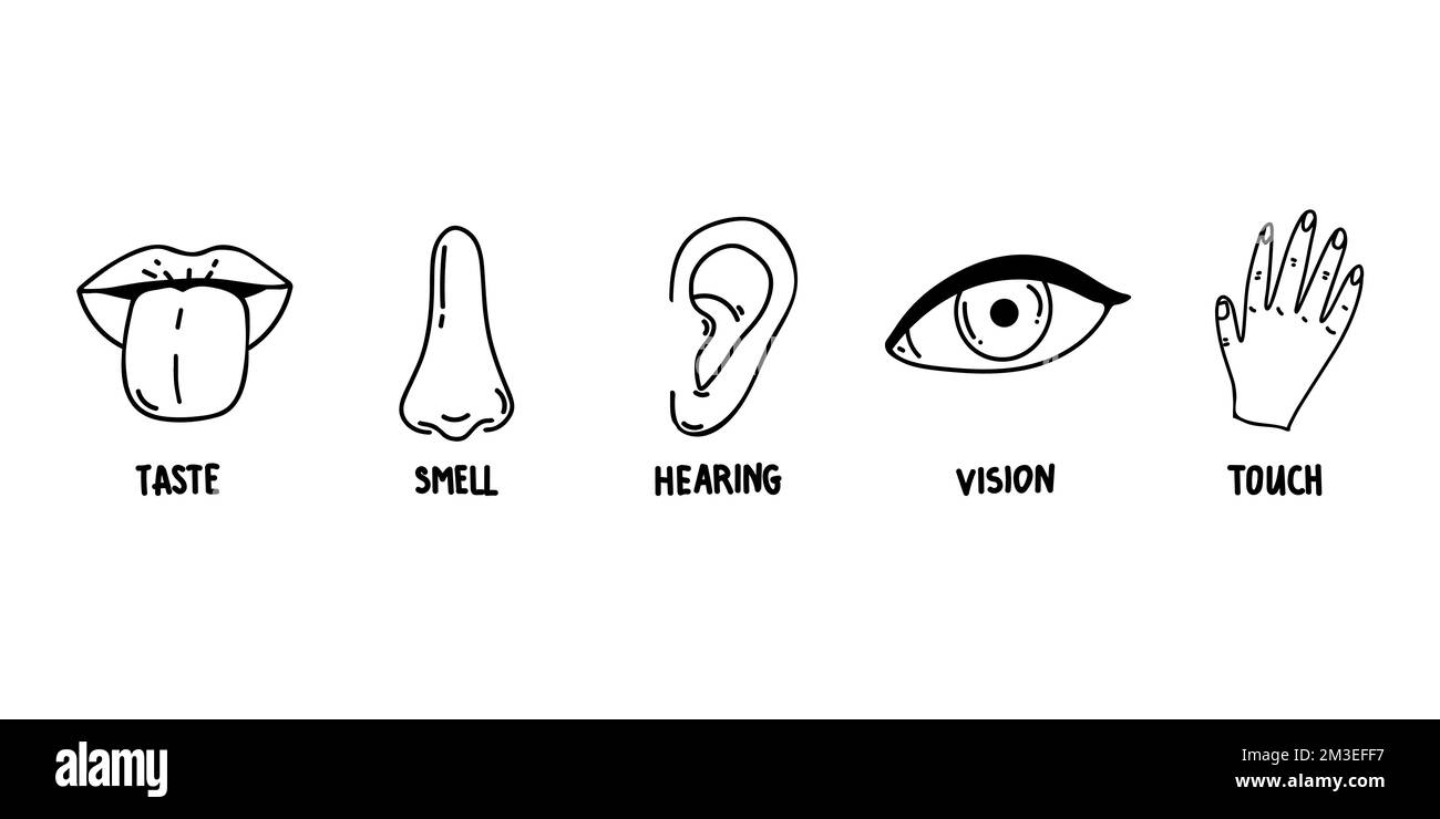 Cinq icônes de ligne Human Senses sont définies. Icônes de vision, d'odeur, d'ouïe, de toucher et de goût. Organes sensoriels humains. Ensemble d'icônes pour les yeux, le nez, l'oreille, la main et la bouche Illustration de Vecteur