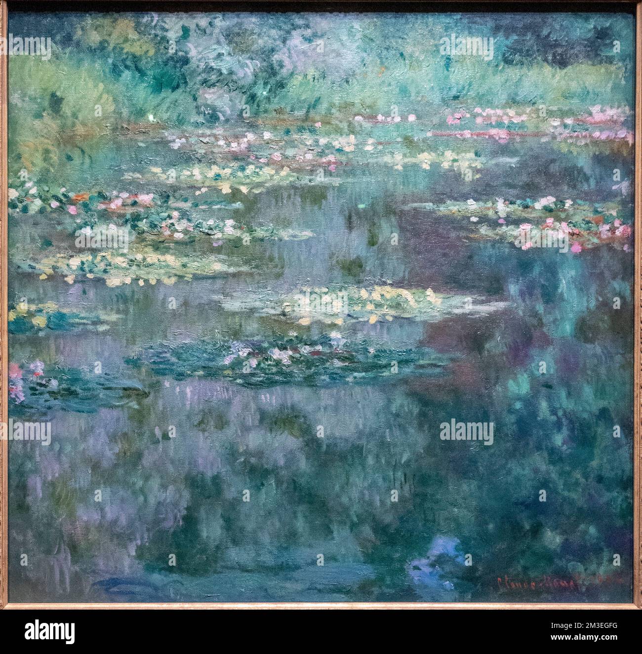 Claude Monet, les nénuphars ou l'Étang des nénuphars (Nymphéas), 1904. Huile sur toile. Musée d'art de Denver, Colorado, États-Unis Banque D'Images