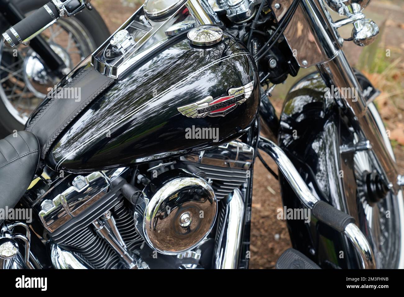 Bordeaux , Aquitaine France - 11 06 2022 : harley davidson détail moteur moto avec logo sur carburant personnalisé noir peinture réservoir d'american Motorcy Banque D'Images