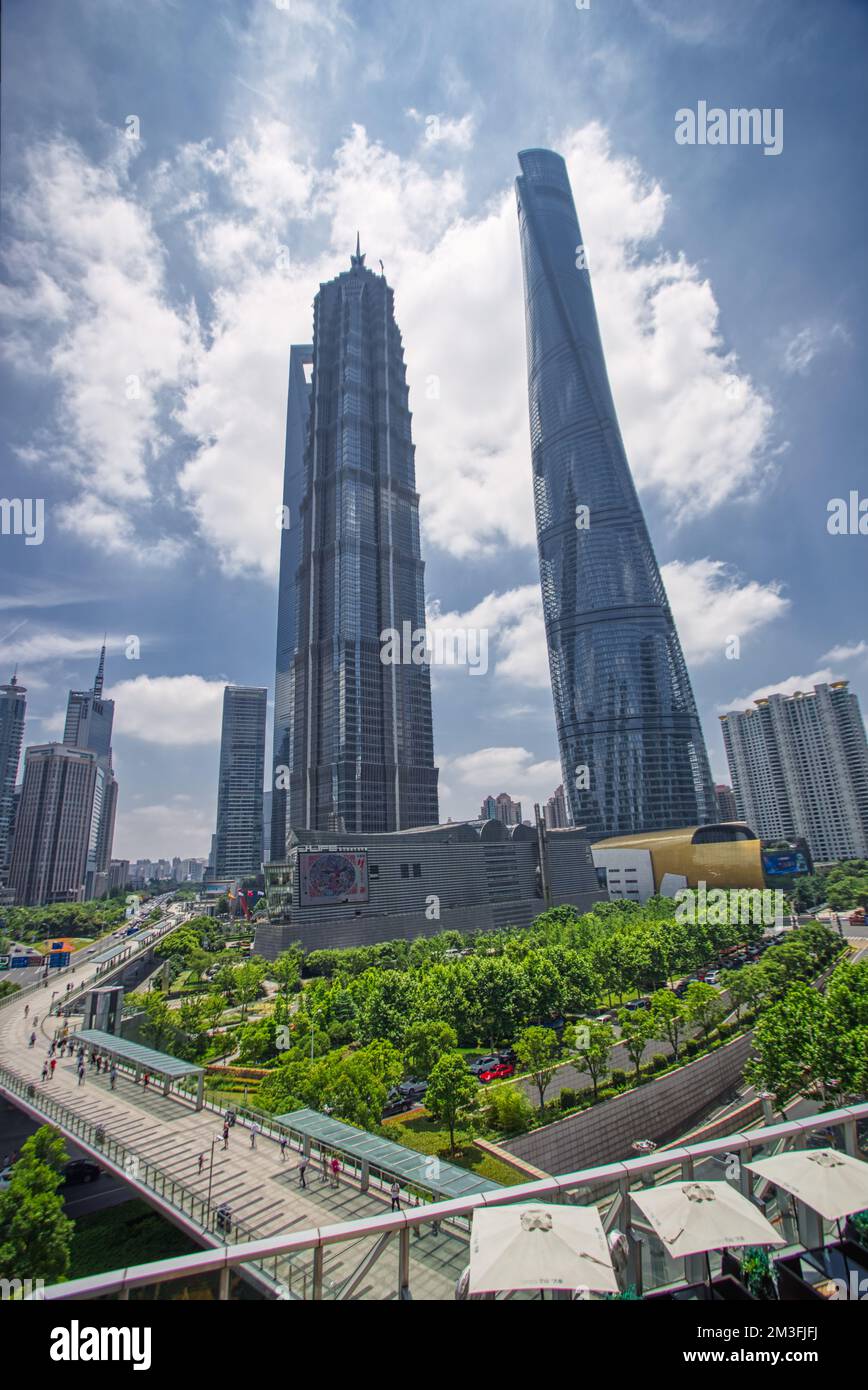 Shanghai World Financial Center, la tour de Shanghai, la tour Jin Mao et la jungle urbaine photographiée d'en bas en été contre un ciel bleu et des nuages Banque D'Images