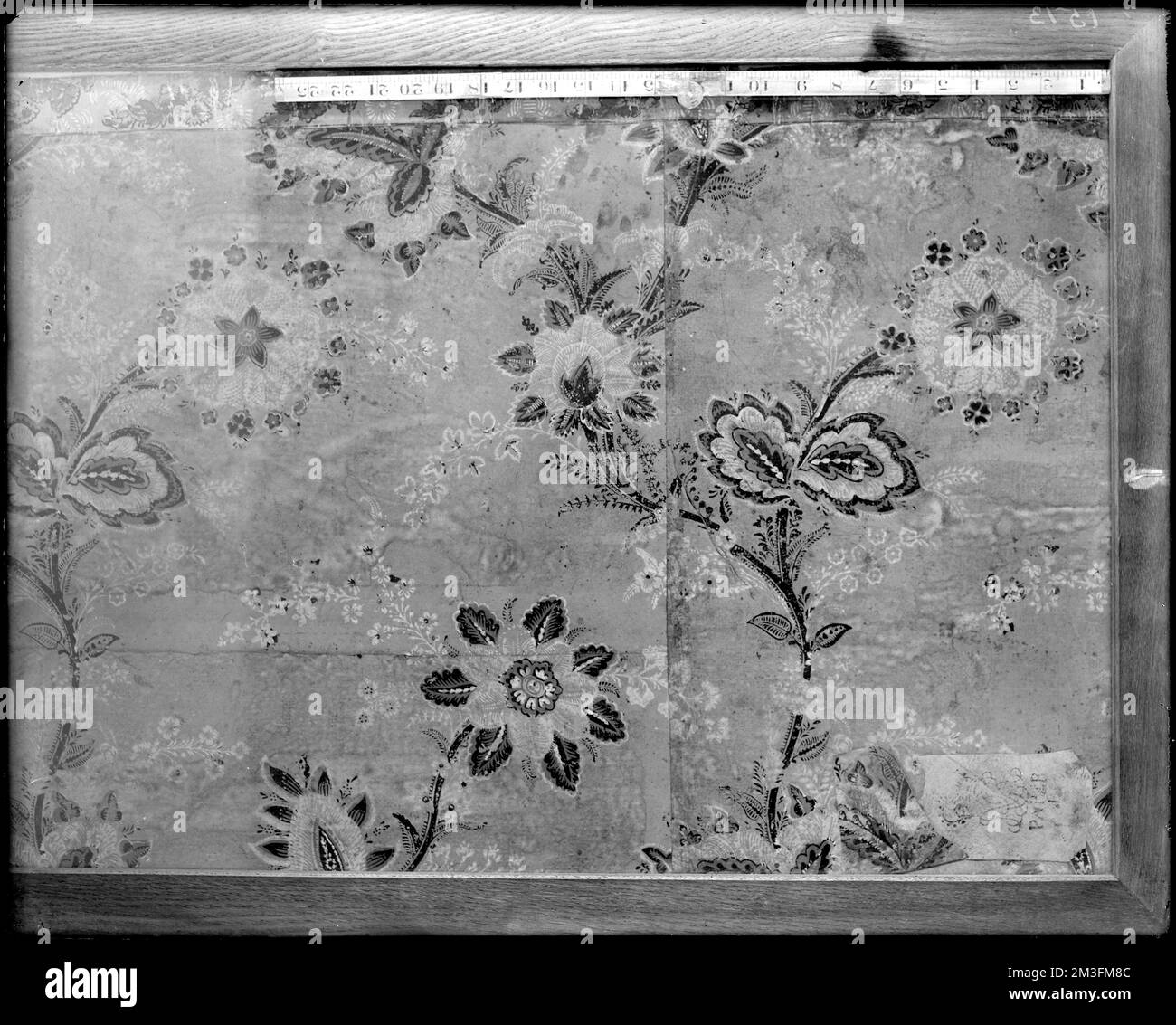 Marblehead, 169 Washington Street, papier peint, Jeremiah Lee House , Maisons, intérieurs, Fonds d'écran, Lee, Jérémie, 1721-1775. Collection de négatifs sur plaque de verre de Frank cousins Banque D'Images