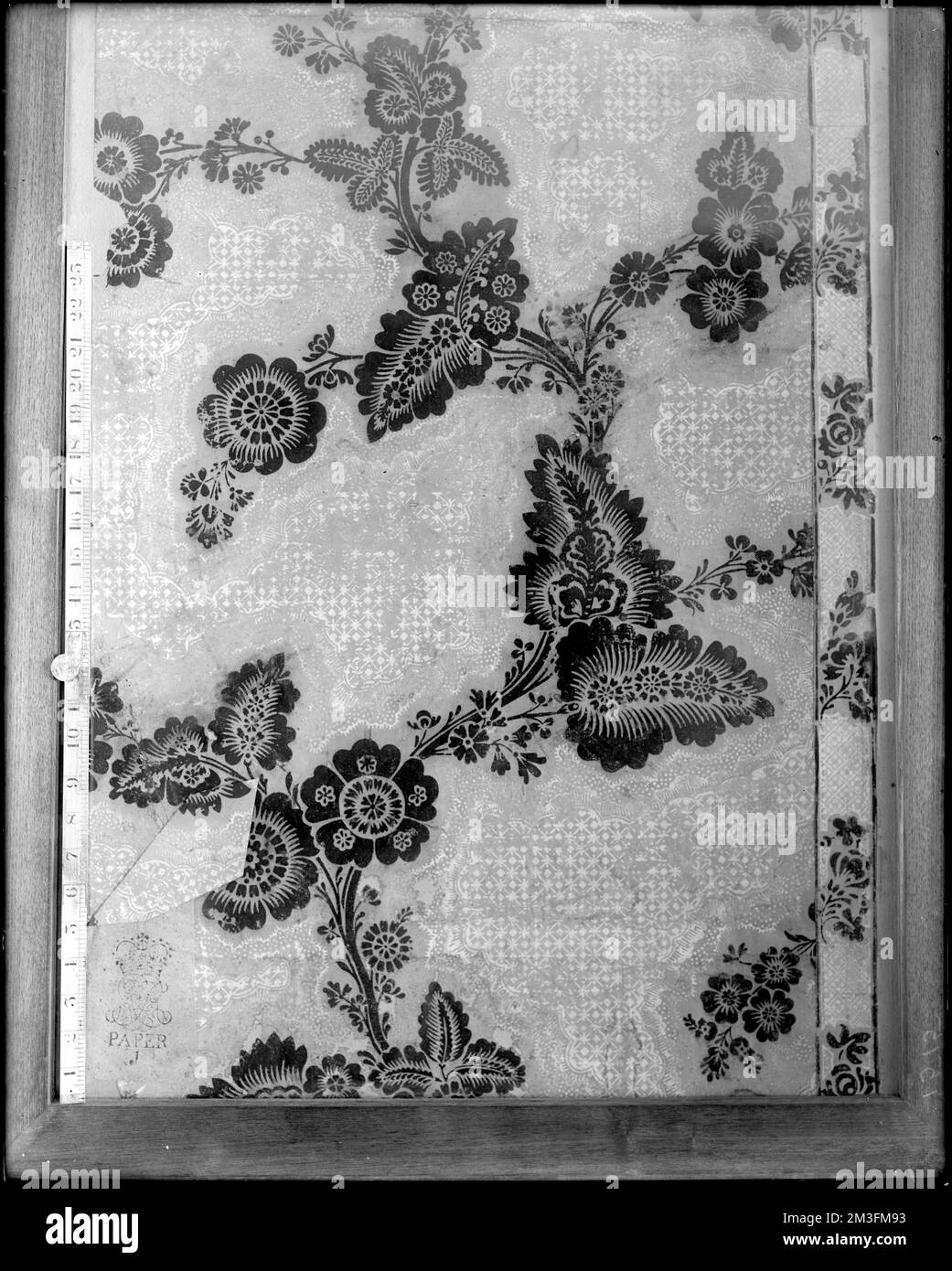 Marblehead, 169 Washington Street, papier peint, Jeremiah Lee House, Wallpapers, Lee, Jeremiah, 1721-1775. Collection de négatifs sur plaque de verre de Frank cousins Banque D'Images