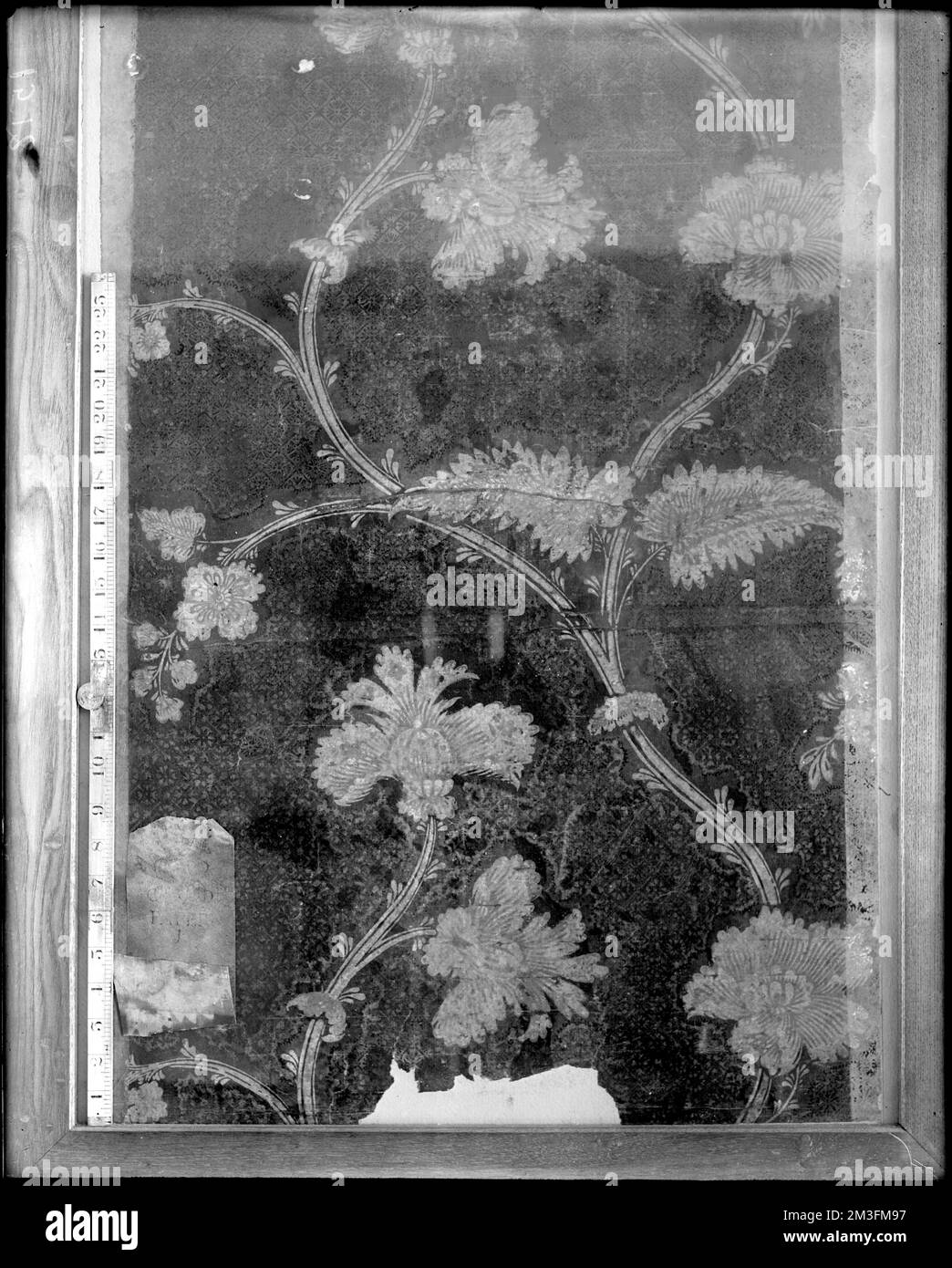 Marblehead, 169 Washington Street, papier peint, Jeremiah Lee House, Wallpapers, Lee, Jeremiah, 1721-1775. Collection de négatifs sur plaque de verre de Frank cousins Banque D'Images