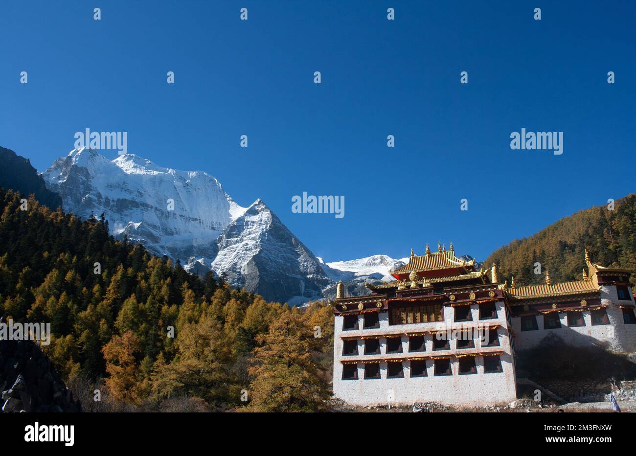 Réserve naturelle de Yading, Daocheng, Sichuan, Chine Banque D'Images