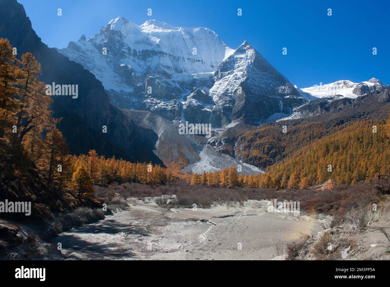 Réserve naturelle de Yading, Daocheng, Sichuan, Chine Banque D'Images