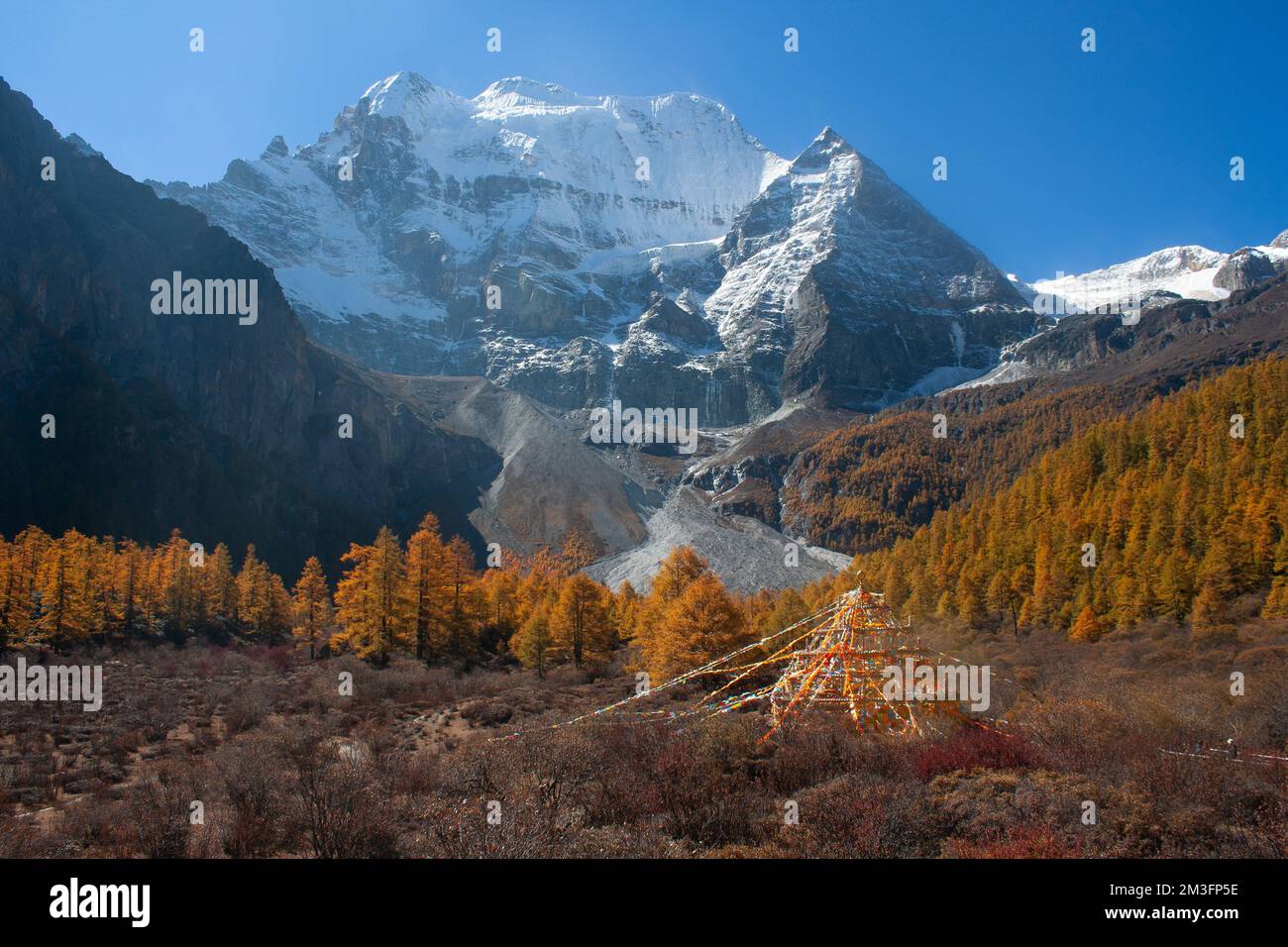 Réserve naturelle de Yading, Daocheng, Sichuan, Chine Banque D'Images