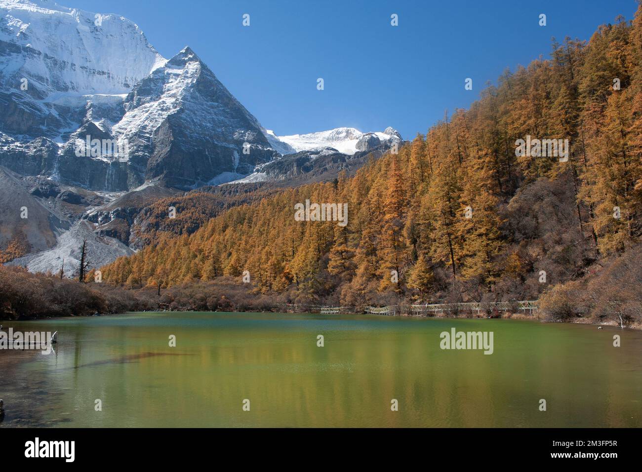 Réserve naturelle de Yading, Daocheng, Sichuan, Chine Banque D'Images