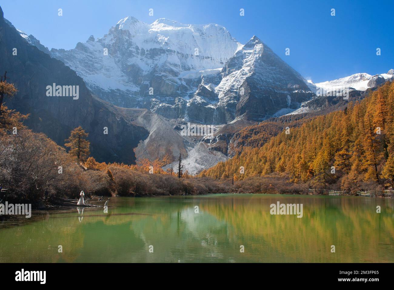Réserve naturelle de Yading, Daocheng, Sichuan, Chine Banque D'Images