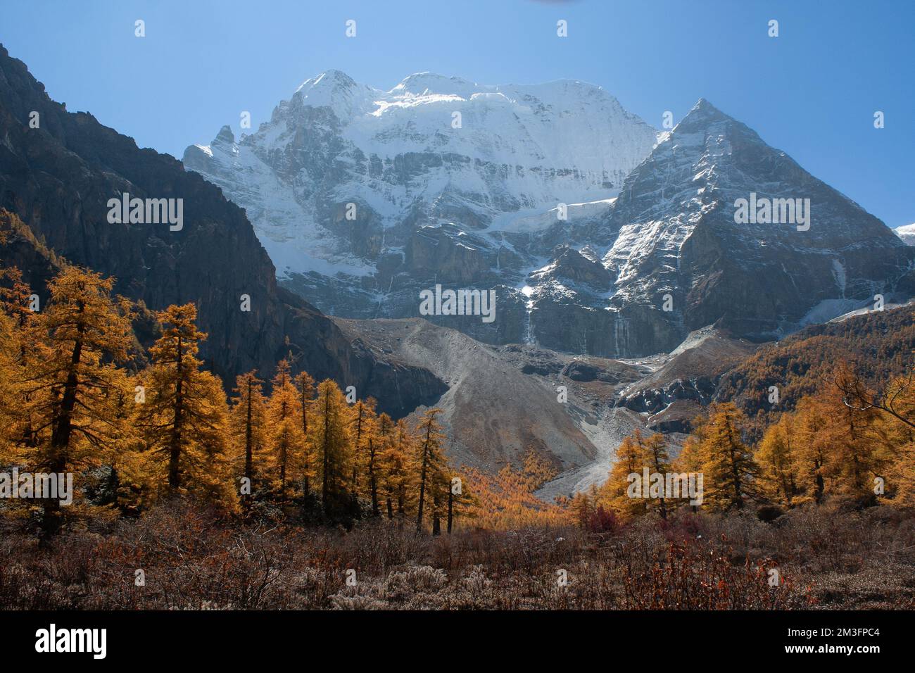 Réserve naturelle de Yading, Daocheng, Sichuan, Chine Banque D'Images