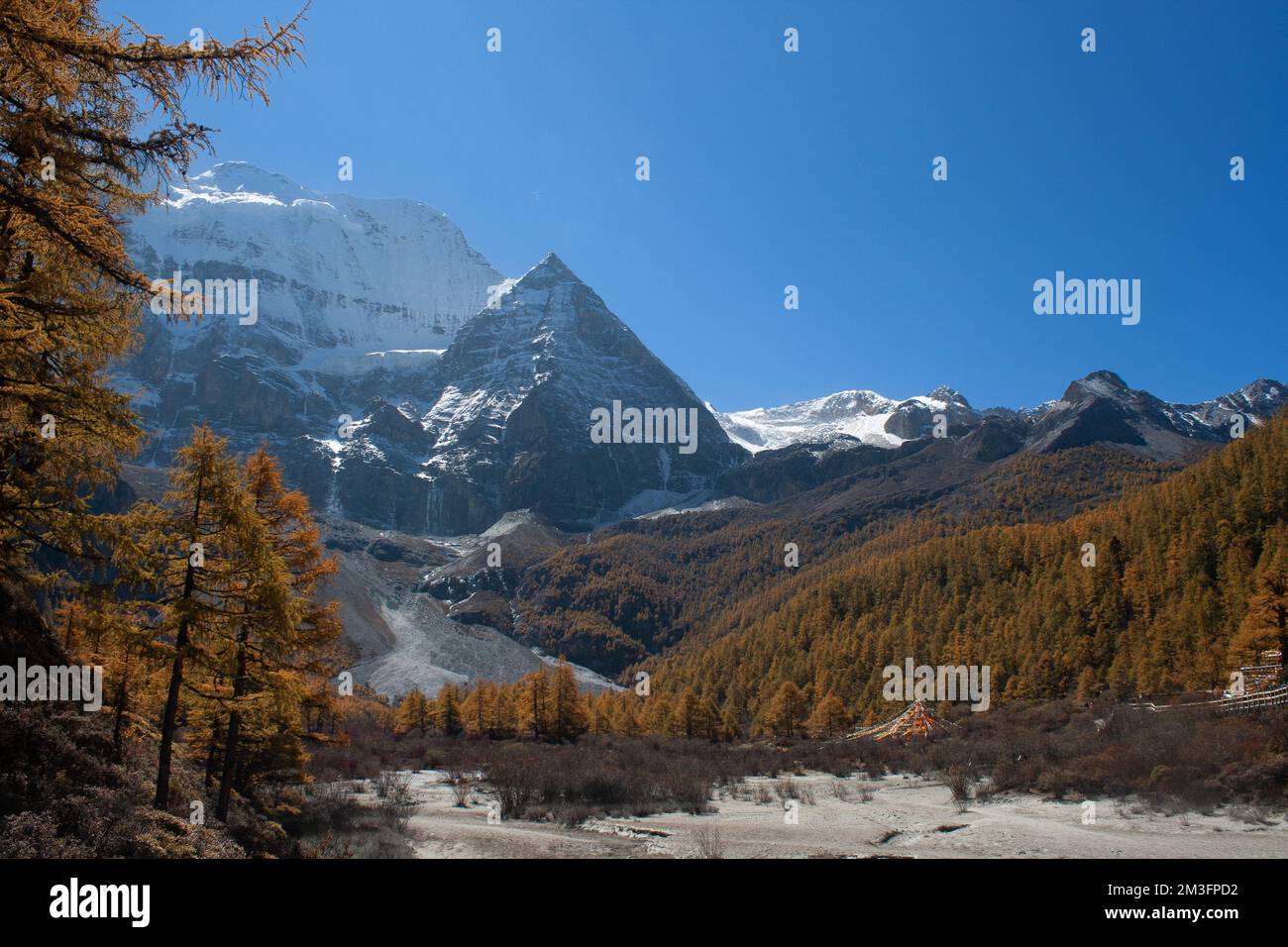 Réserve naturelle de Yading, Daocheng, Sichuan, Chine Banque D'Images