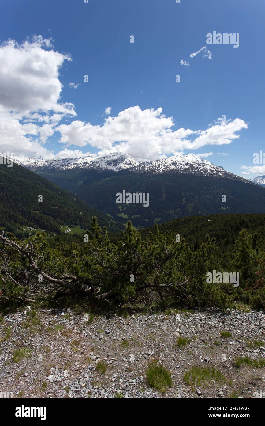 Un paysage dans la région de Bormio pendant un trekking d'été Banque D'Images
