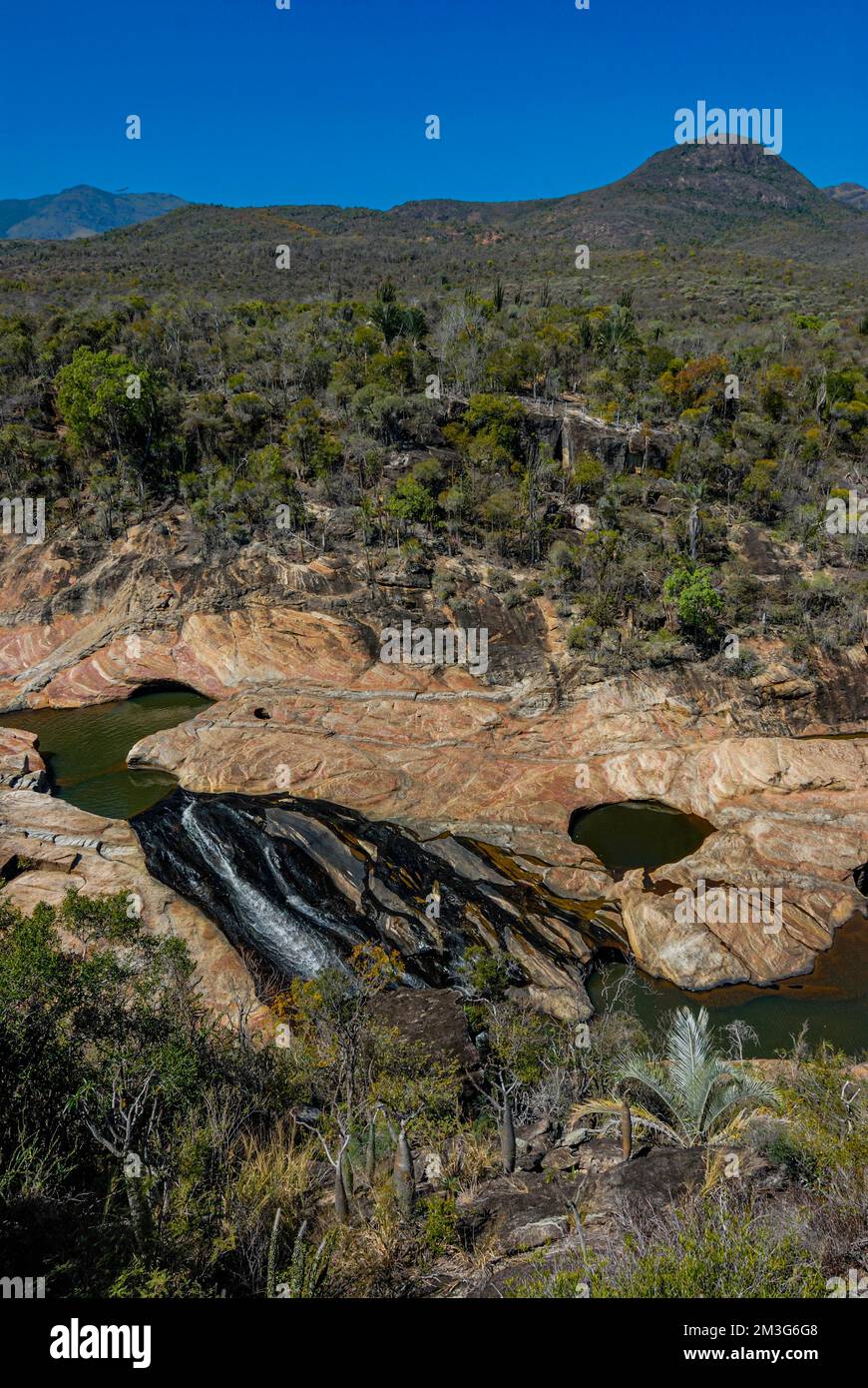 Vue sur la forêt de transition du Parc national d'Andohahela, Madagascar Banque D'Images