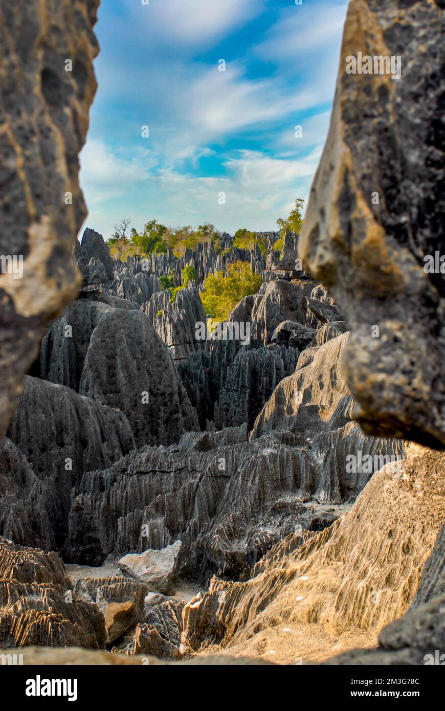 Patrimoine mondial de l'UNESCO vue Tsingy de Bemaraha Réserve naturelle stricte, Madagascar, Océan Indien Banque D'Images