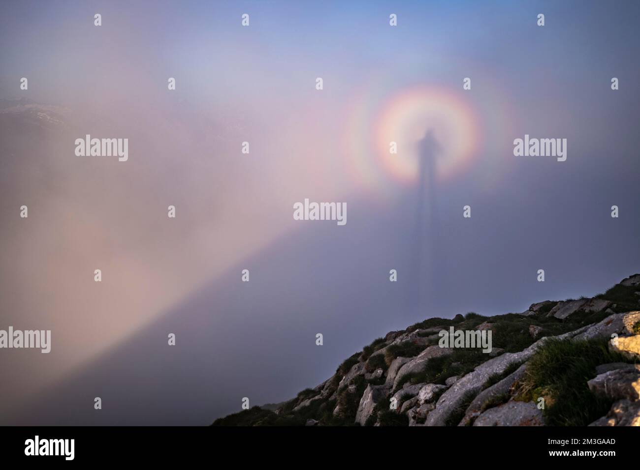 Ombre portée par le photographe dans le brouillard, Wildhaus, Appenzell, Suisse Banque D'Images