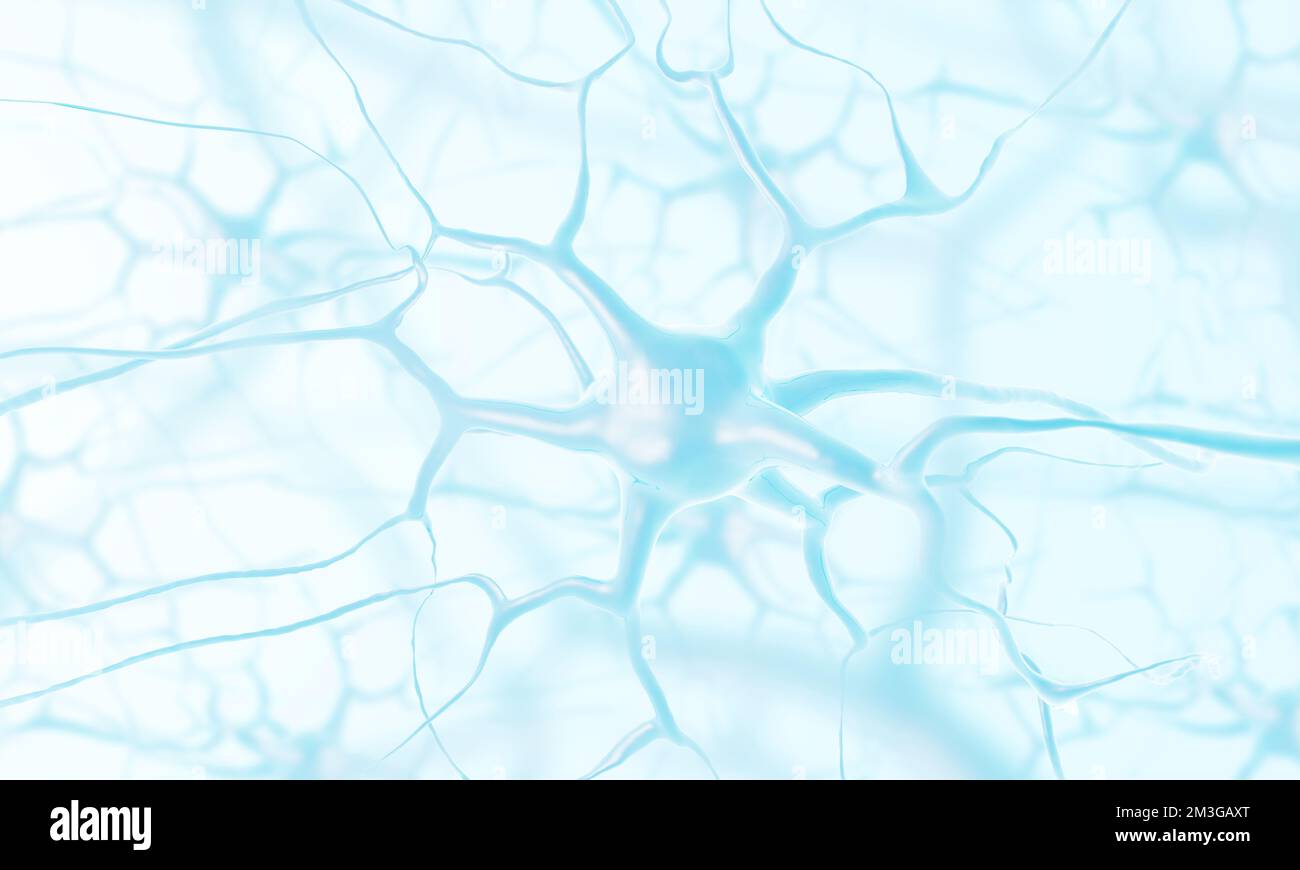 Neurones dans le cerveau. Cellule nerveuse. Neuronée. Cellules neurone. Neurologie. 3d illustration. Banque D'Images
