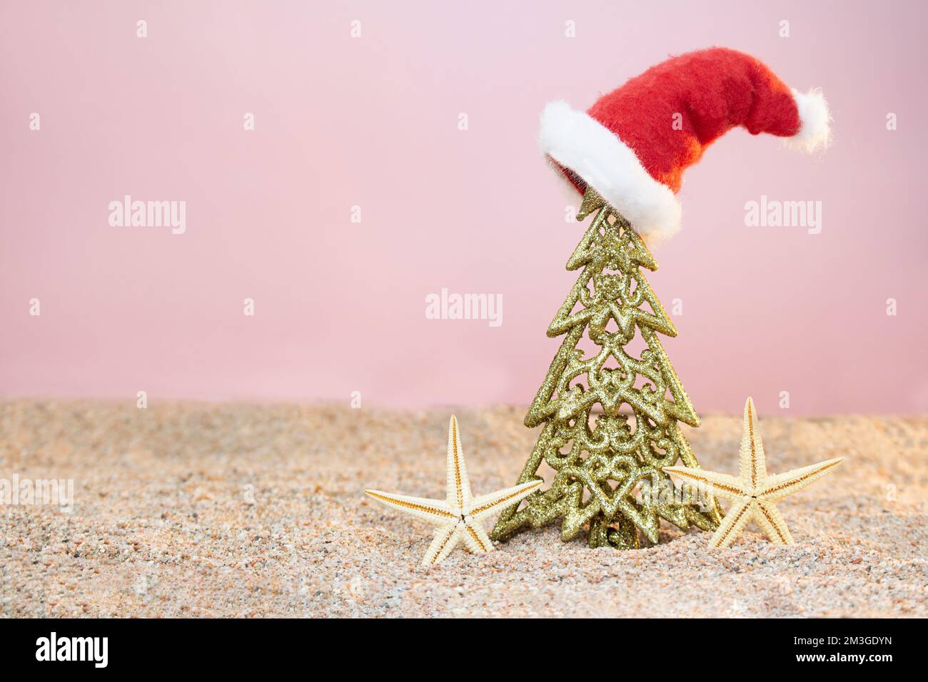Arbre de Noël doré avec chapeau de Père Noël et étoile de mer sur le sable. Noël, nouvel an. Copier l'espace Banque D'Images