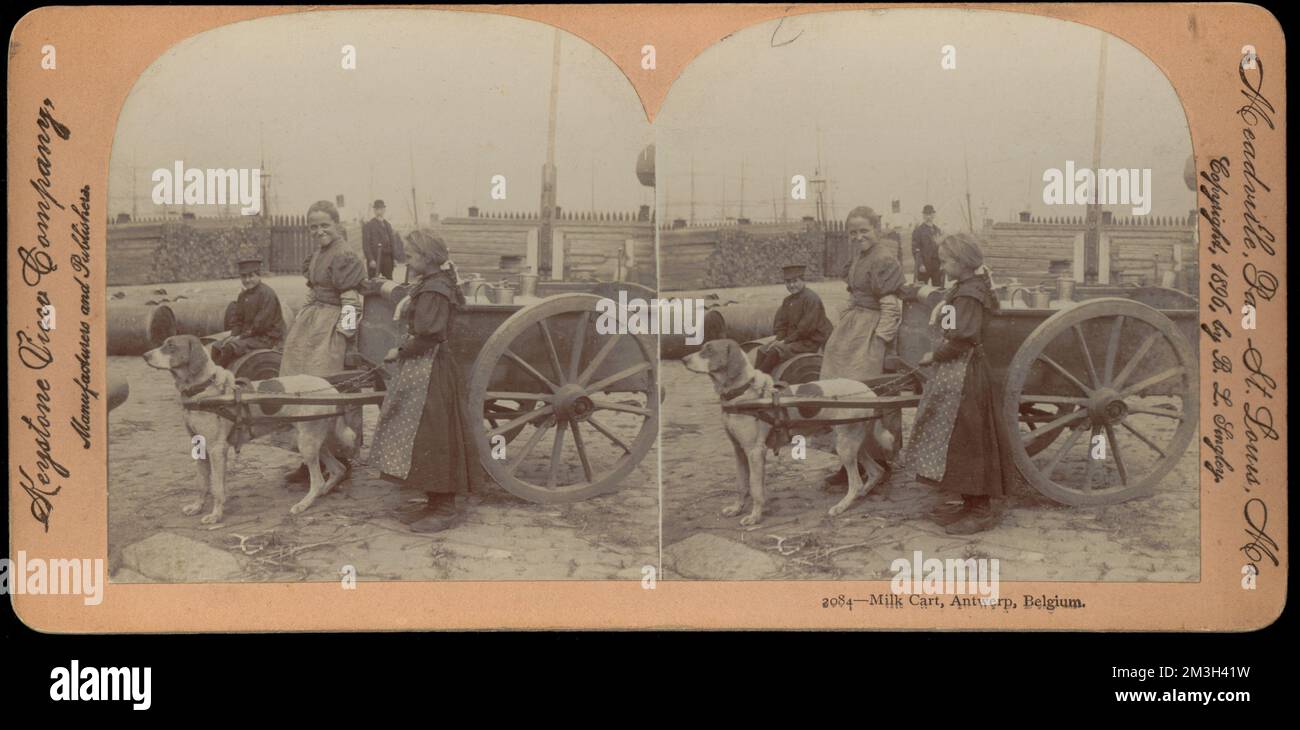 Chariot à lait, Anvers, Belgique, chariots et wagons, Milkmen & Milkwomen, Chiens de travail Banque D'Images