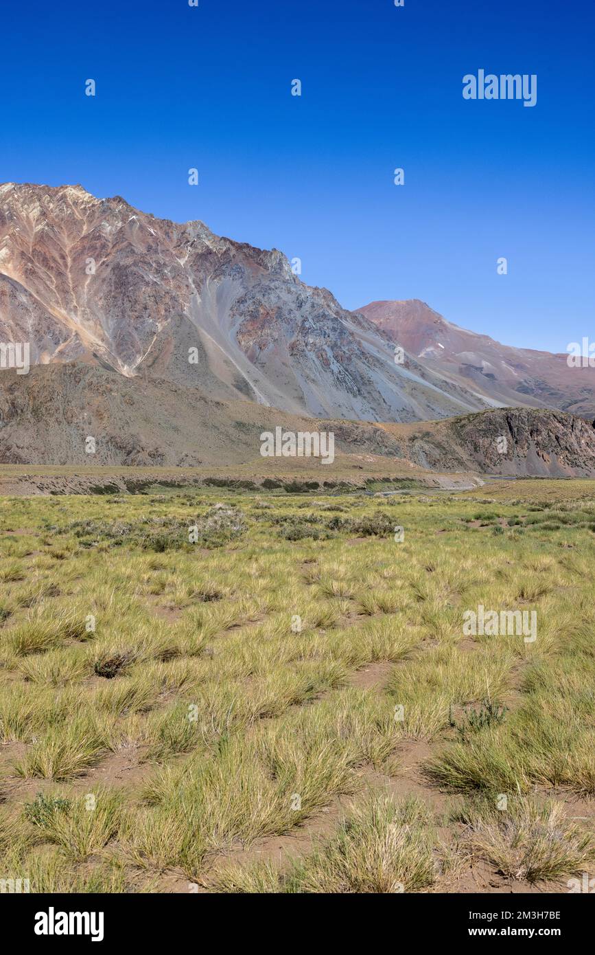 Paysage à Paso Vergara - traverser la frontière du Chili à l'Argentine tout en voyageant en Amérique du Sud Banque D'Images