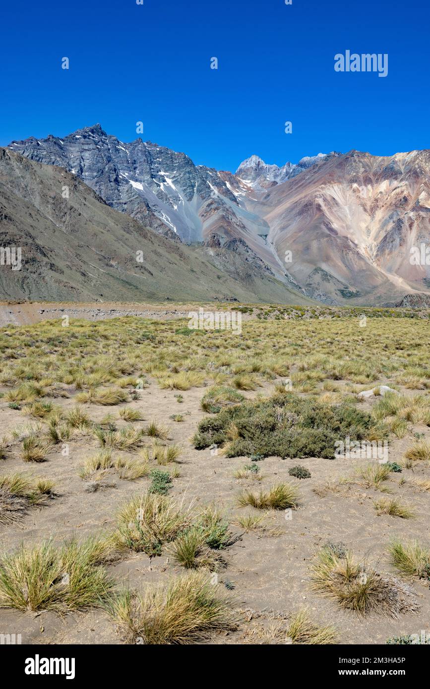 Paysage à Paso Vergara - traverser la frontière du Chili à l'Argentine tout en voyageant en Amérique du Sud Banque D'Images