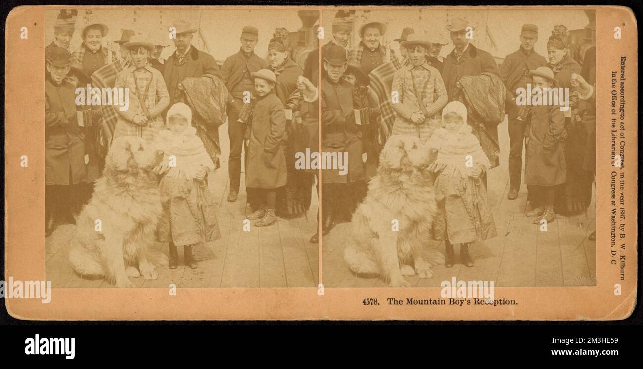 La réception du garçon de montagne , Entertaining, Working Dogs, enfants Banque D'Images