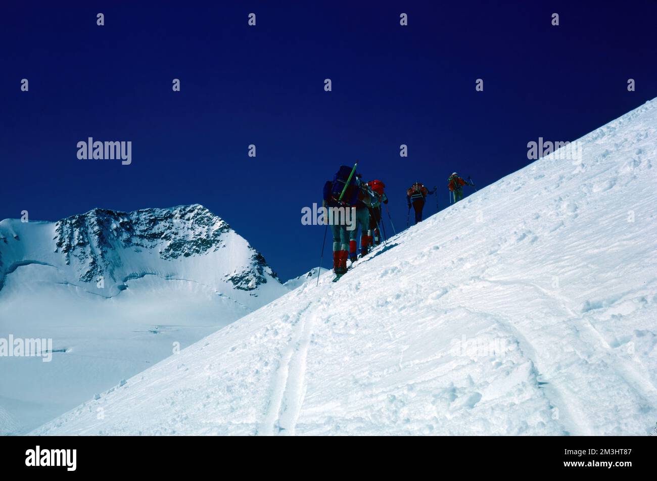 Skieurs alpins de haut niveau sur le chemin du sommet en hiver Oberland bernois en suisse Banque D'Images