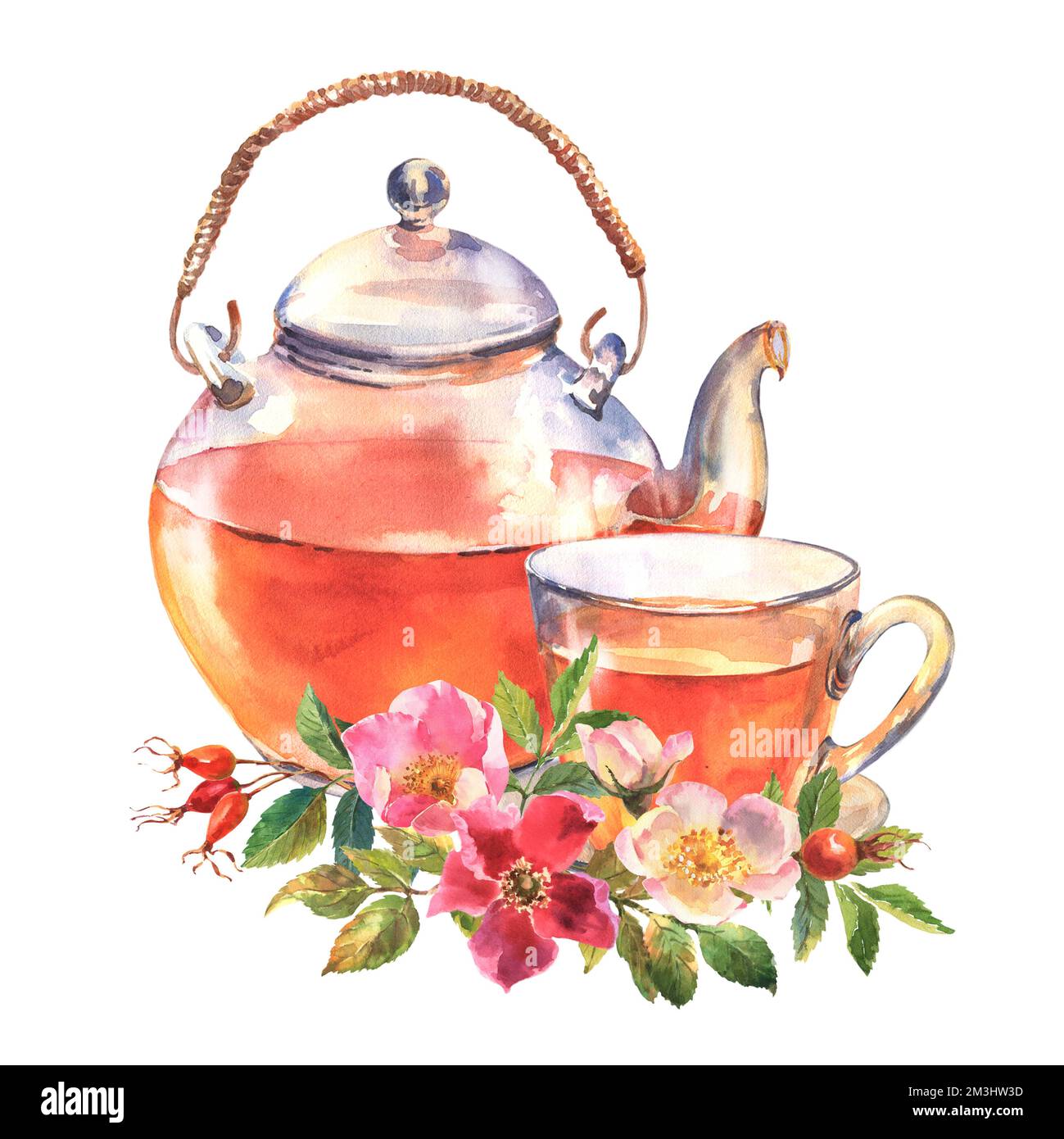 Belle théière en verre et tasse de thé avec fleurs de rosiers de chien.  Aquarelle vintage design teapot illustration, isoler sur fond blanc. Pour  la nourriture des Photo Stock - Alamy