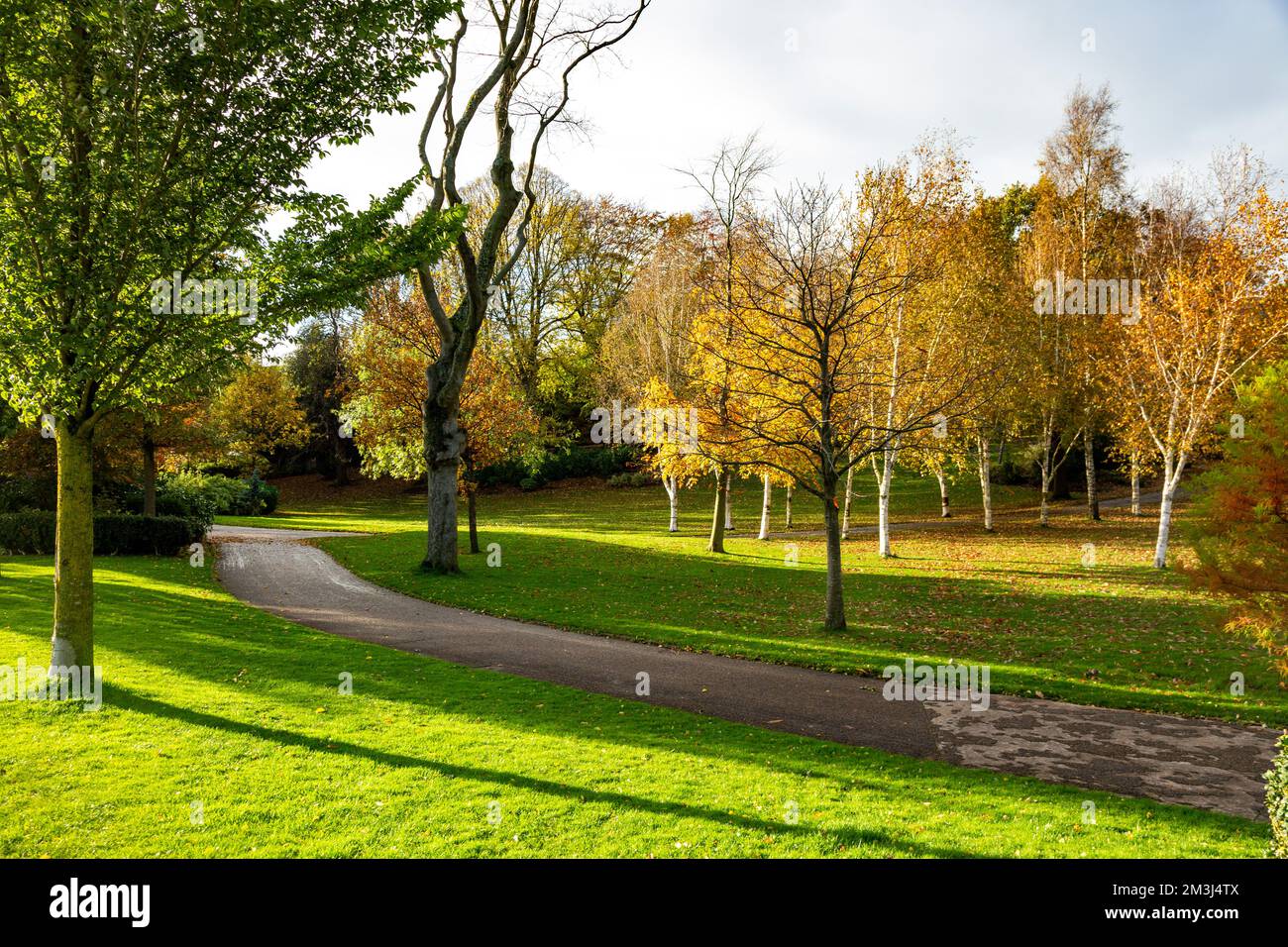 Un passage dans le parc Avenham Banque D'Images