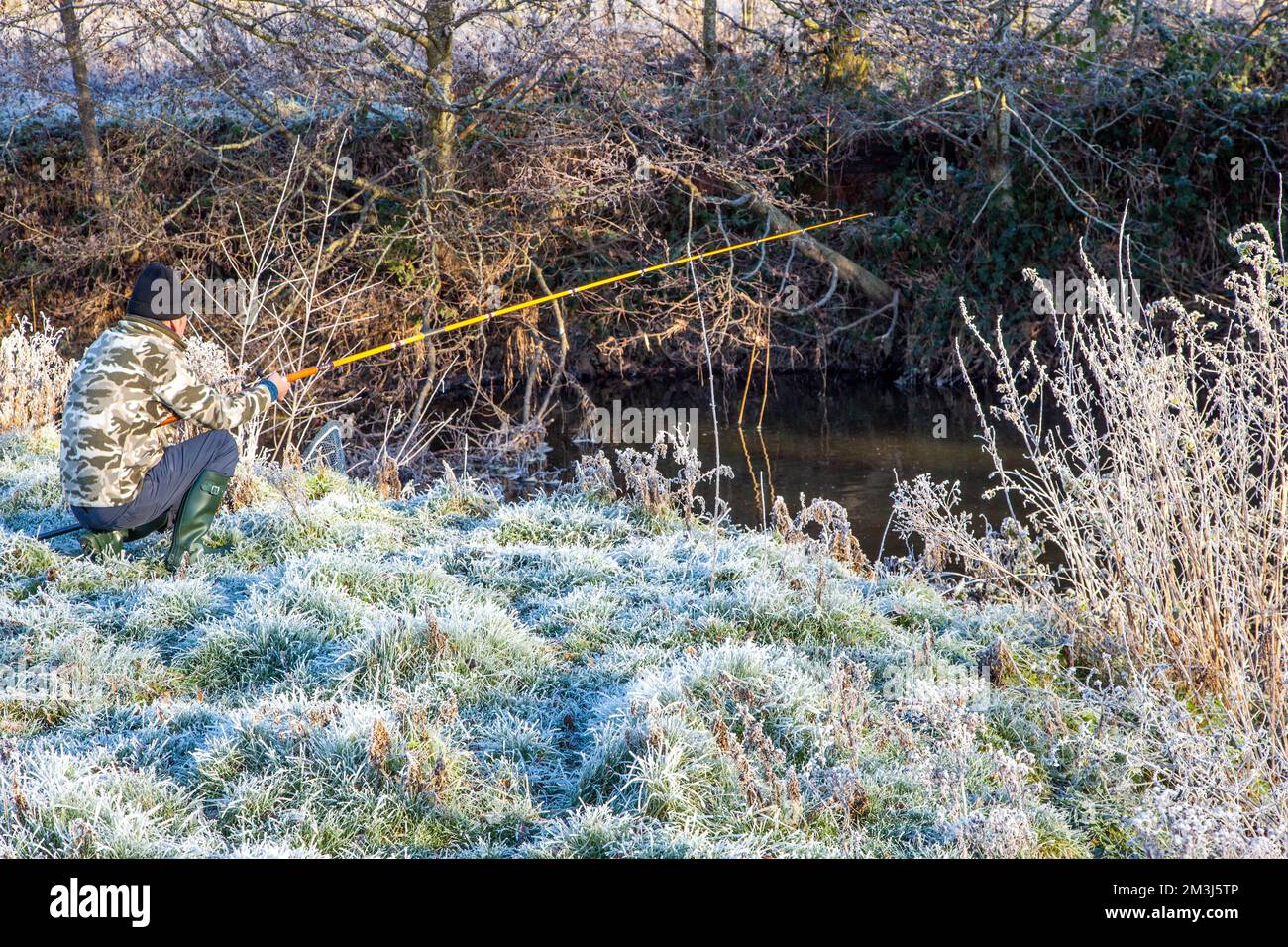 Homme pêche sauvage de rivière pour Chub, par temps froid et gelé dans la rivière Wheelock Cheshire Banque D'Images