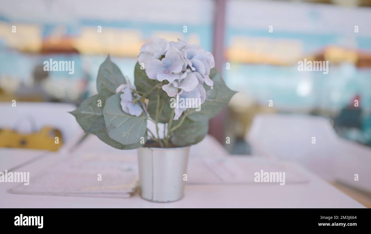 Petites fleurs sur la table avec brise. Action. Petit beau bouquet de fleurs  en pot. Petites fleurs pour la décoration de table extérieure Photo Stock -  Alamy