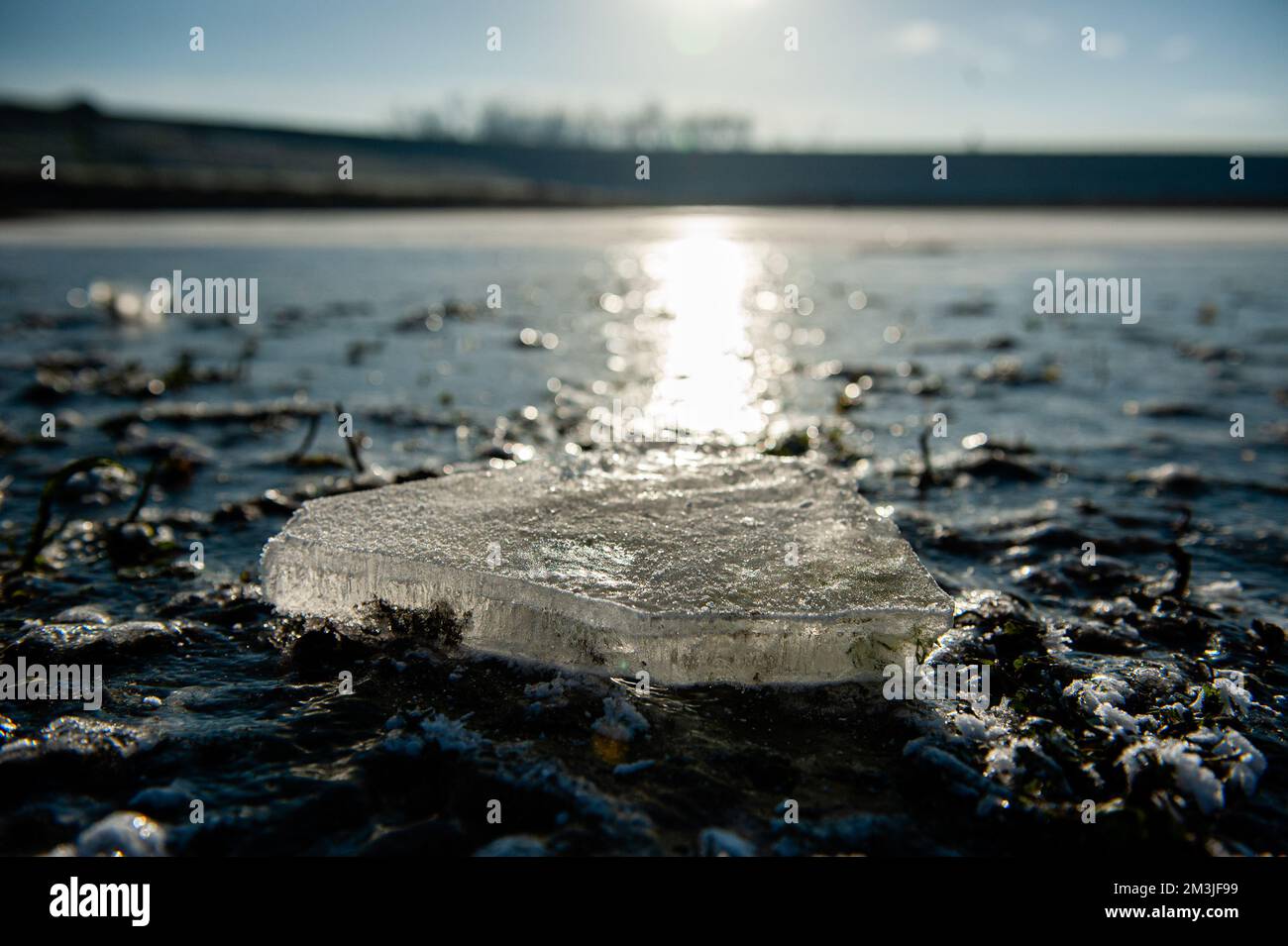 Nimègue, pays-Bas. 15th décembre 2022. Vue sur un morceau de glace à côté  d'un lac gelé. Après trois jours de températures inférieures à zéro  (environ -7 degrés Celsius la nuit), l'eau de