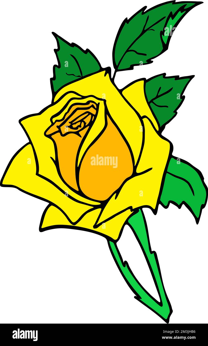 dessin de branche de rose avec fleur et feuilles jaunes, élément isolé, conception Banque D'Images