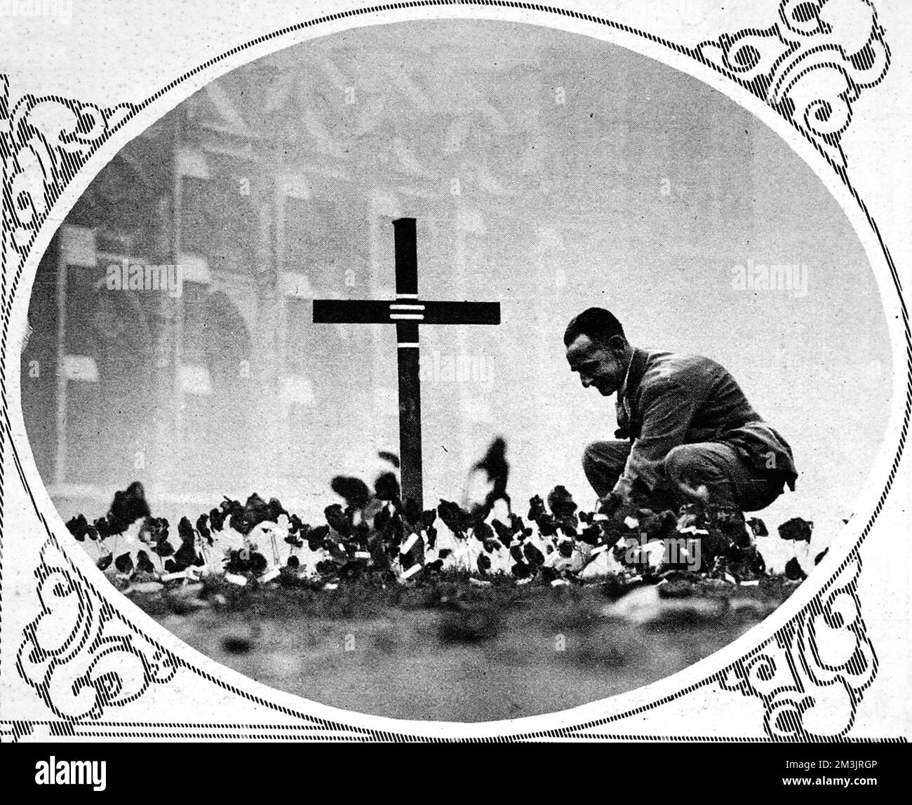 Planter un pavot au jardin du souvenir Banque D'Images