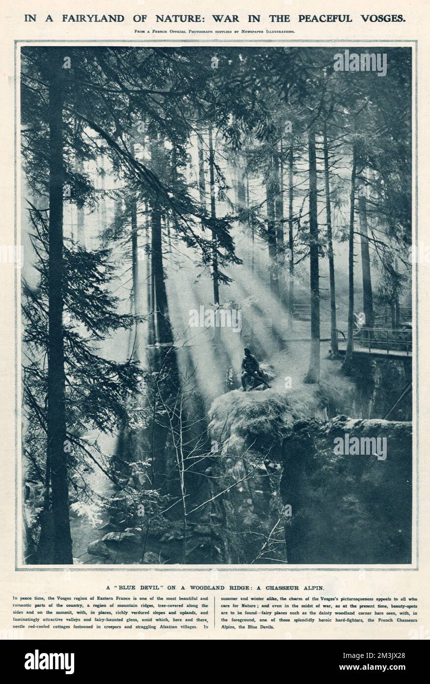 Un soldat français assis dans le cadre idyllique de la région des Vosges de l'est de la France. Banque D'Images