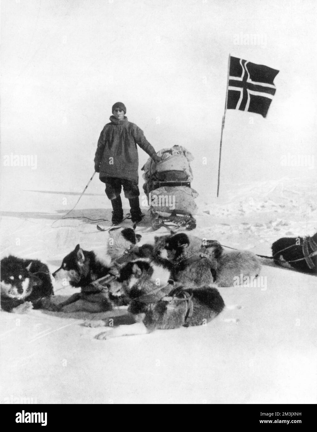 Le lieutenant Helmer Hansen, de l'expédition antarctique Amundsen de 1910-12, debout avec son traîneau, son équipe de chiens et son drapeau norvégien au Pôle Sud. Décembre 1911 Banque D'Images