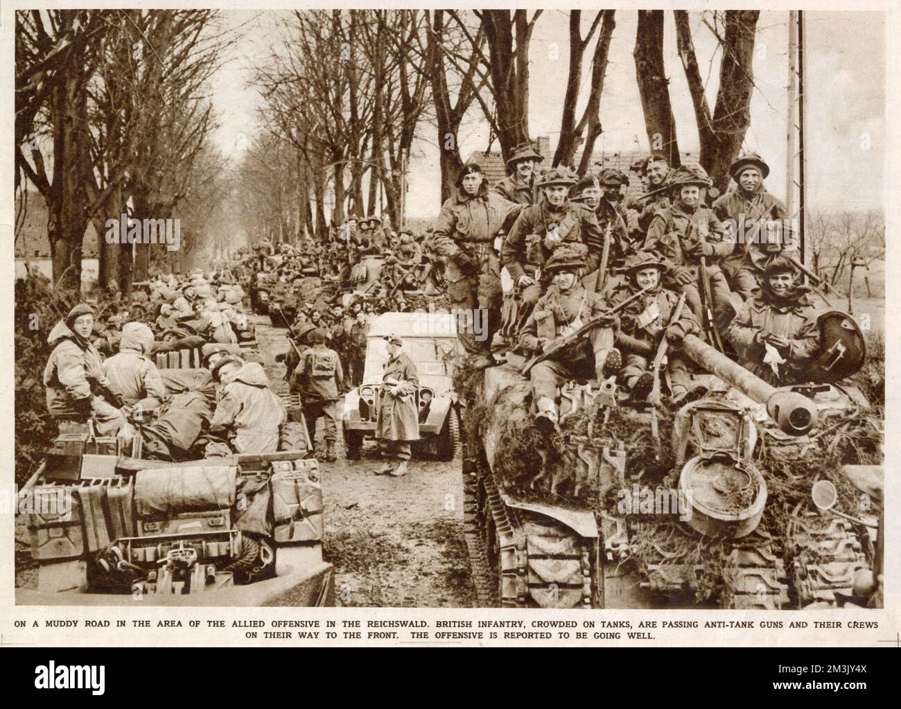 Infanterie et chars britanniques, Reichswald ; seconde Guerre mondiale, 1945 Banque D'Images