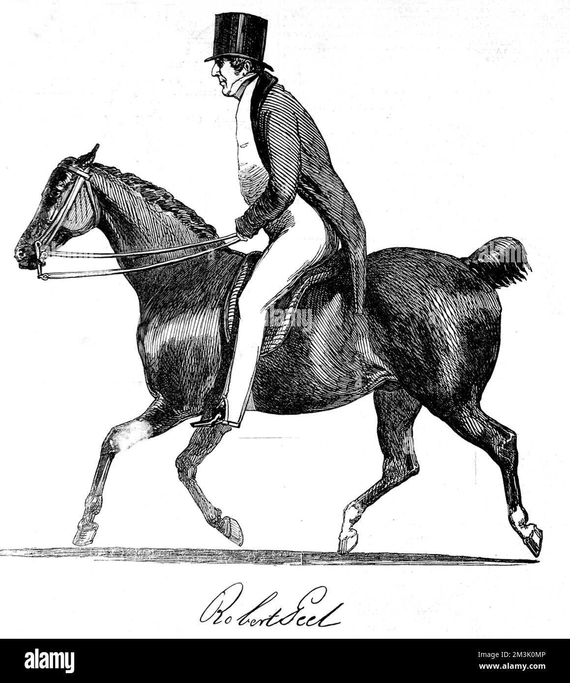 Sir Robert Peel (1788 - 1850), homme d'État anglais et premier ministre, à cheval. Peel était un député conservateur qui avait des vues fortes sur le catholicisme irlandais et le libre-échange contre le protectionnisme, mais il est probablement préférable de se rappeler pour avoir organisé la police de Londres dans les années 1820. Pendant longtemps, les policiers britanniques ont été surnommés « peelers » ou « Bobbies » en référence à Robert Peel. Le 29th juin 1850, Peel a été jeté de son cheval et a subi des blessures mortelles. Banque D'Images